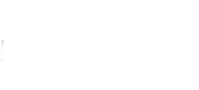 logo light